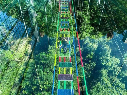 步步惊心桥